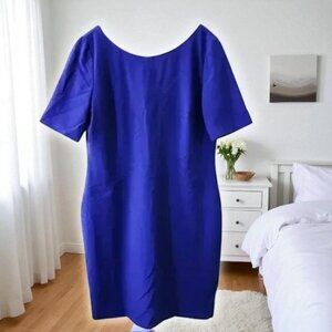 Tahari Shift Dress Royal Blue Size 14